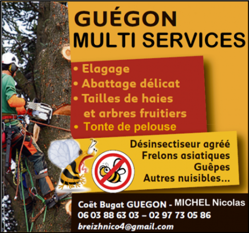 Guegon multi services