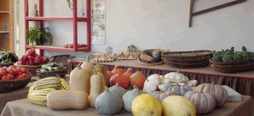 Bellevue sur l'potager - Maure de Bretagne - Présentation