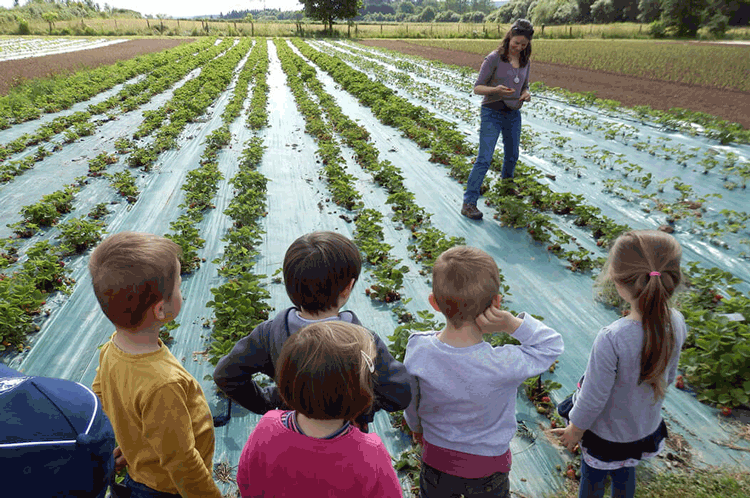 La découverte du métier de maraicher